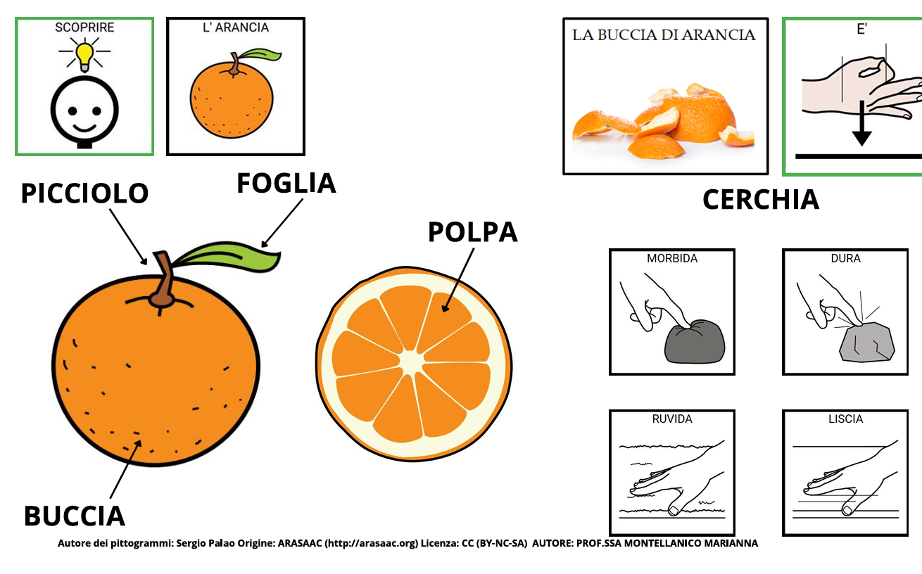 Scoprire l´arancia e fare la spremuta.